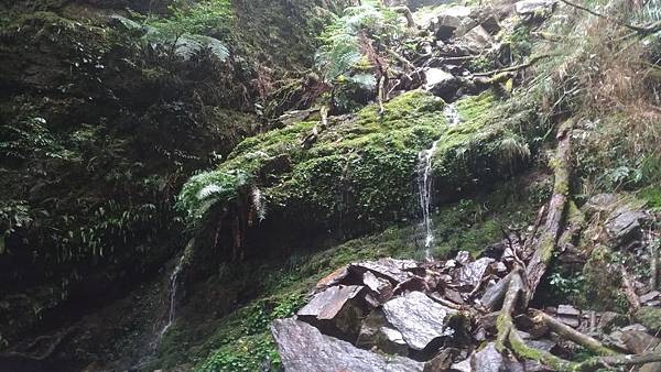 P_20190316_103137_vHDR_On.jpg P_20190316_103137_vHDR_On.jpg