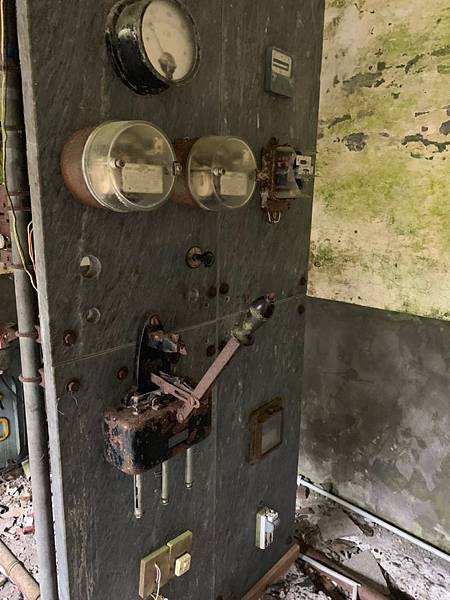 🍊_190328_0013.jpg 🍊_190328_0013.jpg