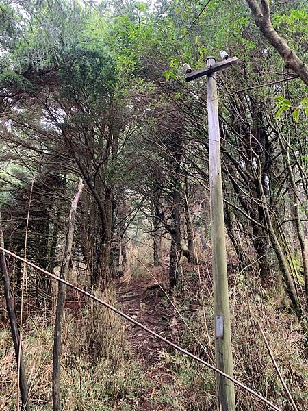 🍊_190328_0006.jpg 🍊_190328_0006.jpg