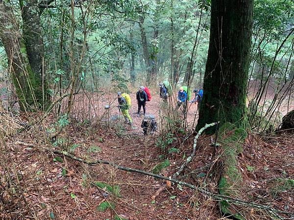 🍊_190328_0036.jpg 🍊_190328_0036.jpg