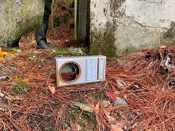 🍊_190328_0038.jpg 🍊_190328_0038.jpg