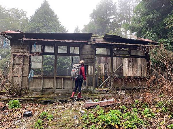 🍊_190328_0032.jpg 🍊_190328_0032.jpg