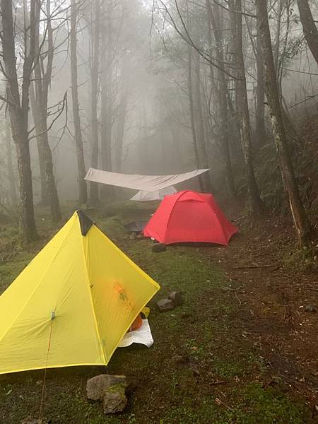 🍊_190328_0046.jpg 🍊_190328_0046.jpg