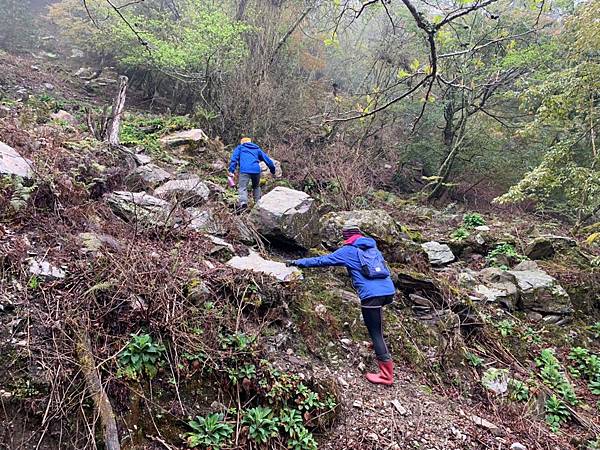 🍊_190328_0042.jpg 🍊_190328_0042.jpg