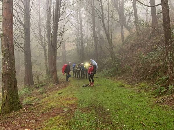 🍊_190328_0047.jpg 🍊_190328_0047.jpg