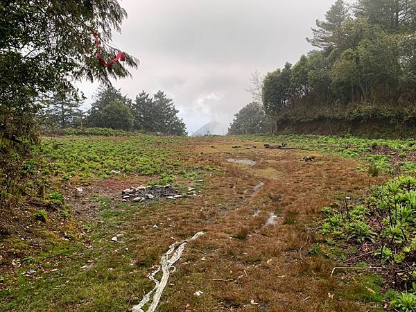 🍊_190328_0045.jpg 🍊_190328_0045.jpg