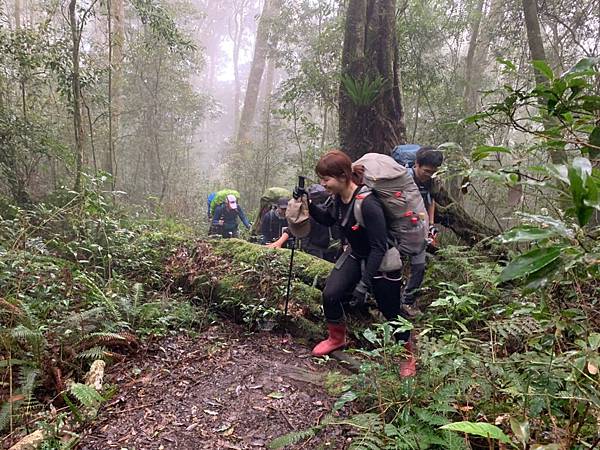 🍊_190328_0055.jpg 🍊_190328_0055.jpg