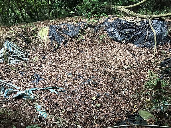 %E6%9C%AA%E5%91%BD%E5%90%8D