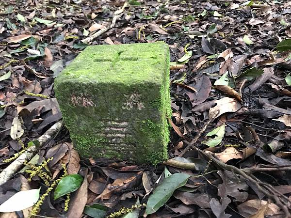 %E6%9C%AA%E5%91%BD%E5%90%8D