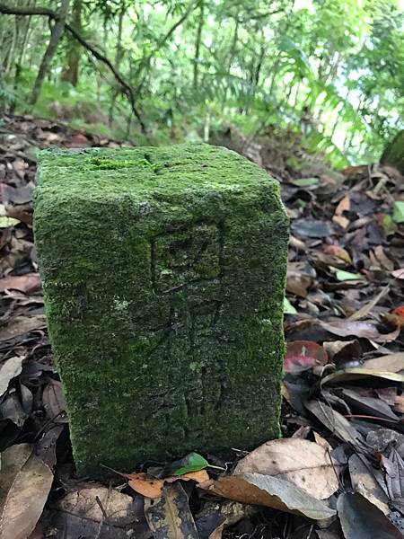 %E6%9C%AA%E5%91%BD%E5%90%8D