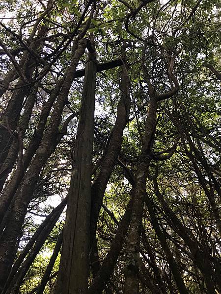 %E6%9C%AA%E5%91%BD%E5%90%8D