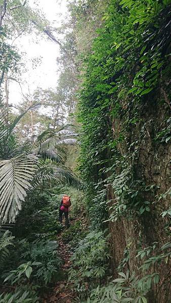 113084.jpg 113084.jpg