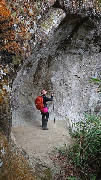 113085.jpg 113085.jpg