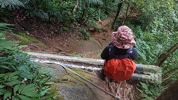 113083.jpg 113083.jpg