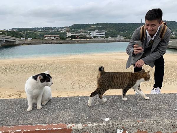 1547133208632.jpg 1547133208632.jpg