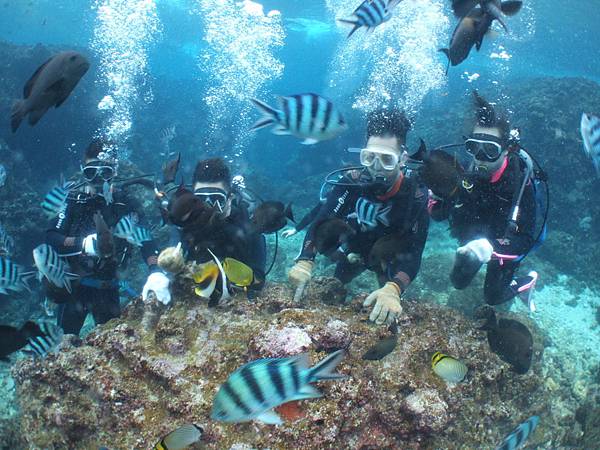 DSCF9413.JPG DSCF9413.JPG