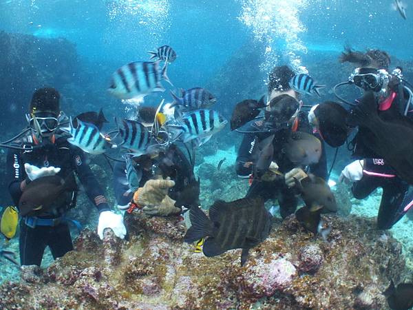 DSCF9416.JPG DSCF9416.JPG