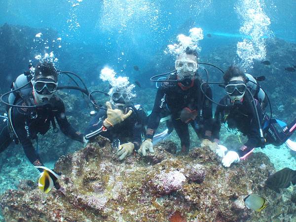 DSCF9395.JPG DSCF9395.JPG