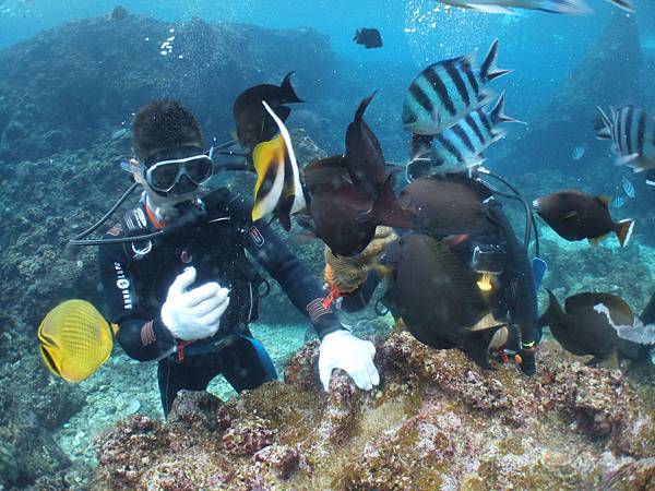 DSCF9426.JPG DSCF9426.JPG