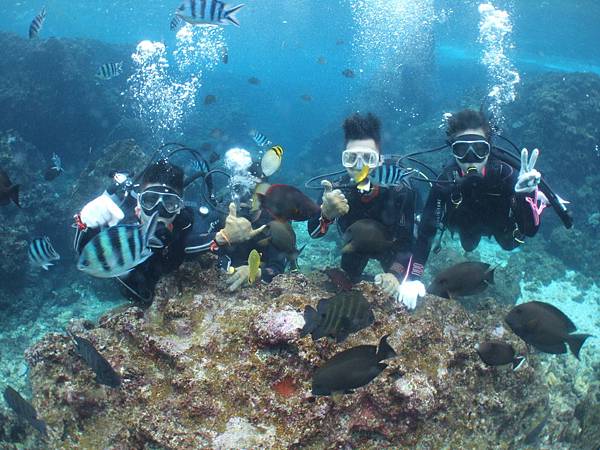 DSCF9396.JPG DSCF9396.JPG