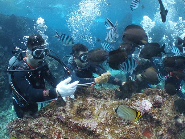 DSCF9437.JPG DSCF9437.JPG