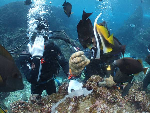 DSCF9424.JPG DSCF9424.JPG