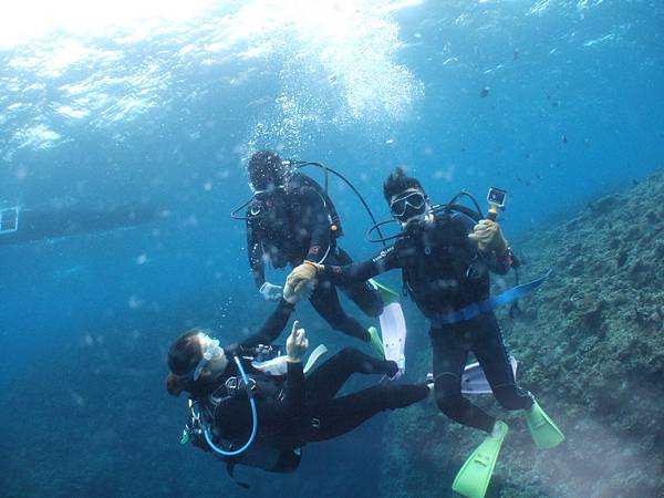 DSCF9447.JPG DSCF9447.JPG