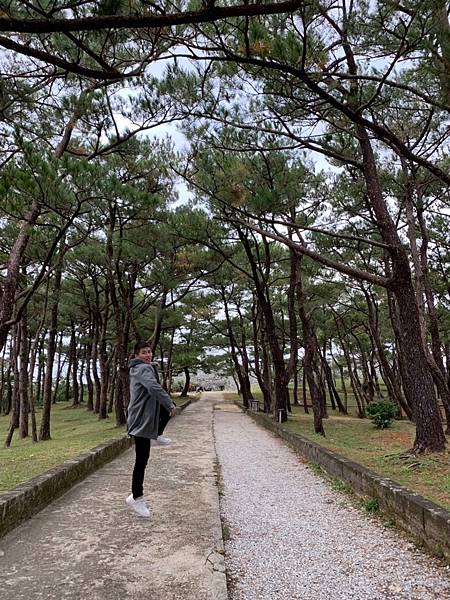 1547336120548.jpg 1547336120548.jpg