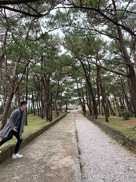 1547336110913.jpg 1547336110913.jpg