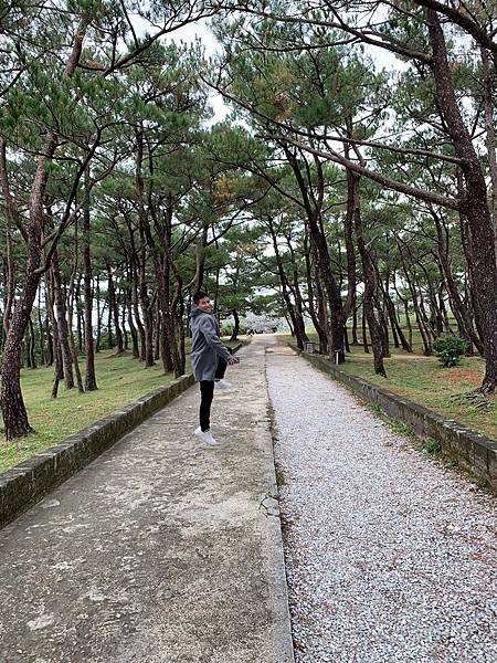 1547336113700.jpg 1547336113700.jpg