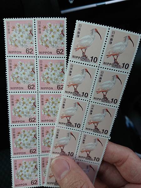 DSC_2123.JPG DSC_2123.JPG