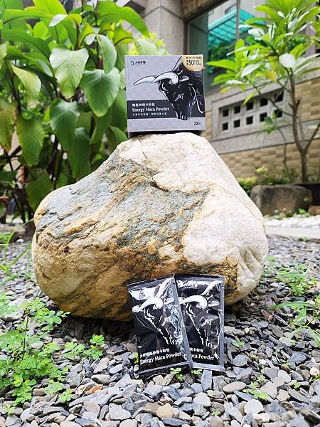 handkevinsome_精氣神瑪卡粉包-大研生醫 (2)