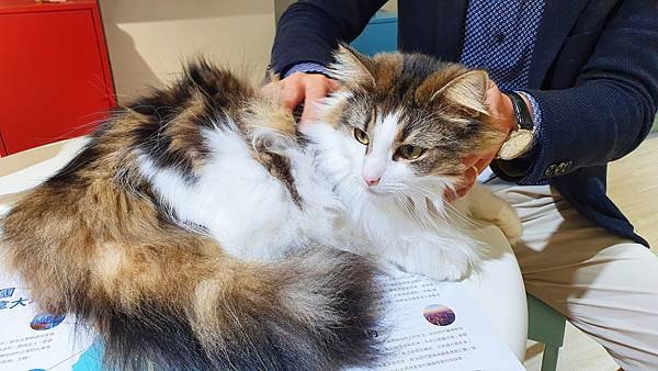 handkevinsome_EDU壹教育 (22)