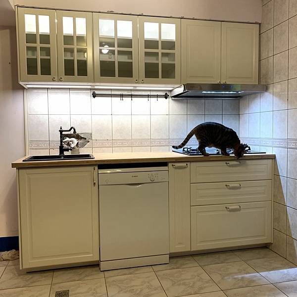 [器具] BOSCH 12人份洗碗機使用心得分享