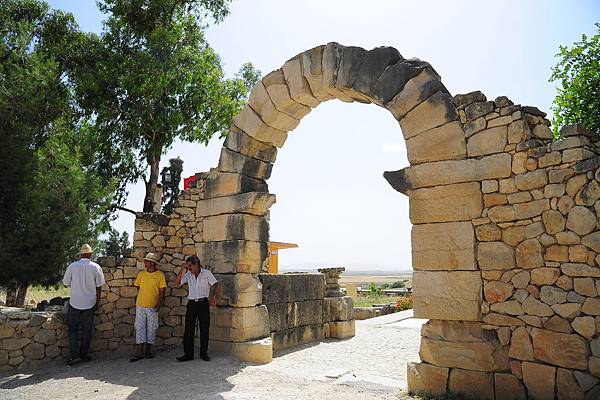 Volubilis 3