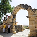 Volubilis 3