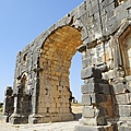 Volubilis 5