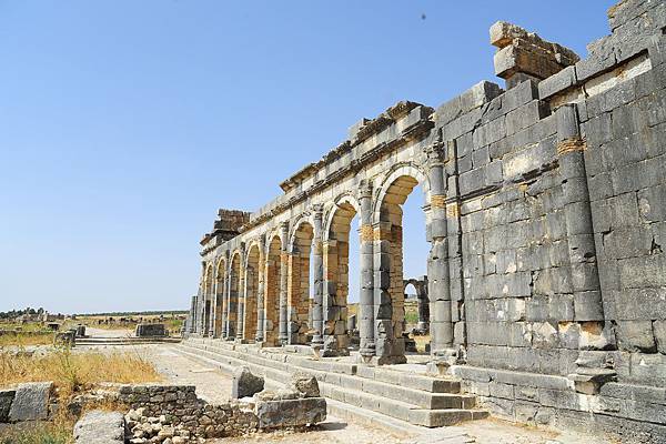 Volubilis 6