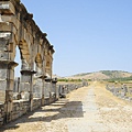 Volubilis 8