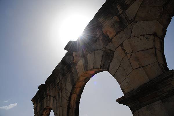 Volubilis 8