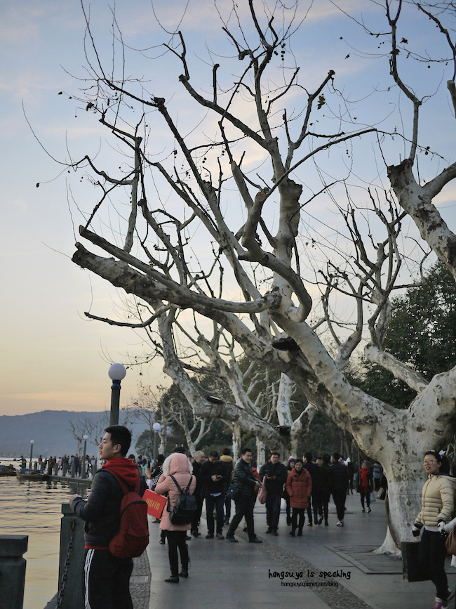 P1220564.JPG P1220564.JPG