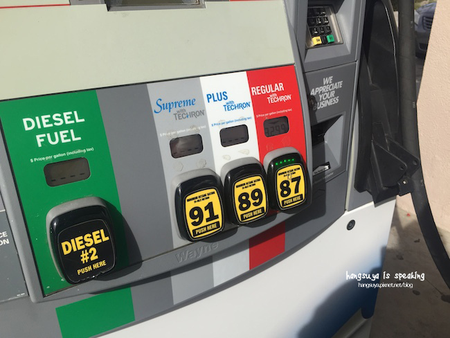 IMG_2446.JPG IMG_2446.JPG