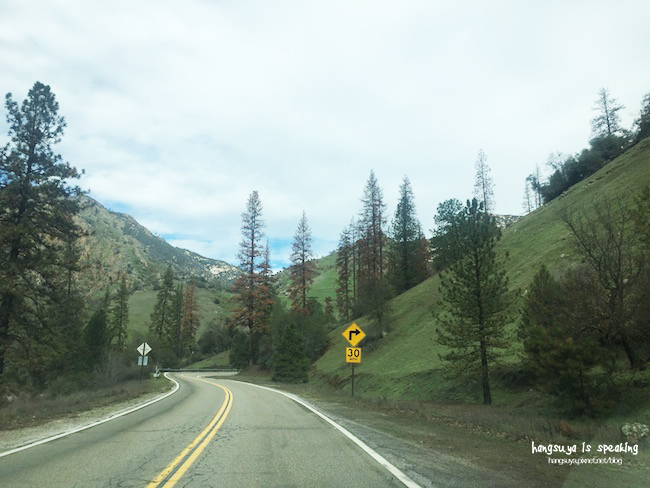 IMG_2824.JPG IMG_2824.JPG