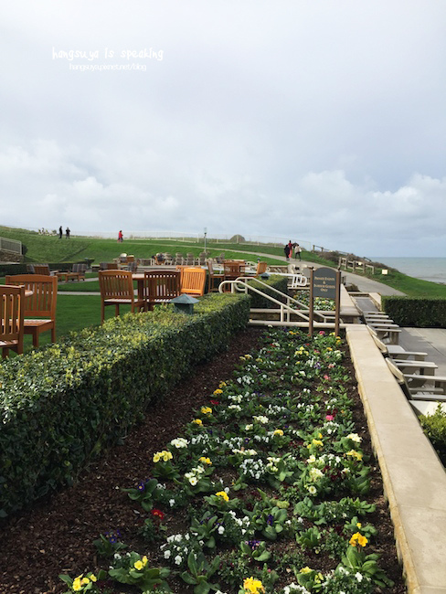 IMG_3636.jpg IMG_3636.jpg