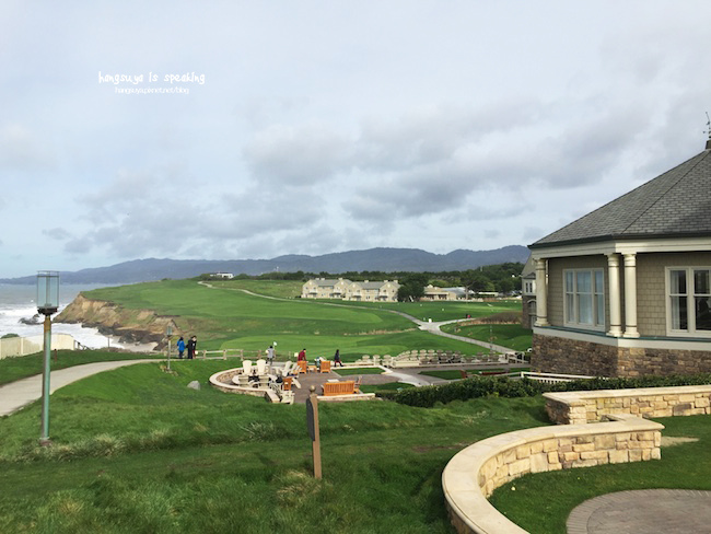 IMG_3649.JPG IMG_3649.JPG