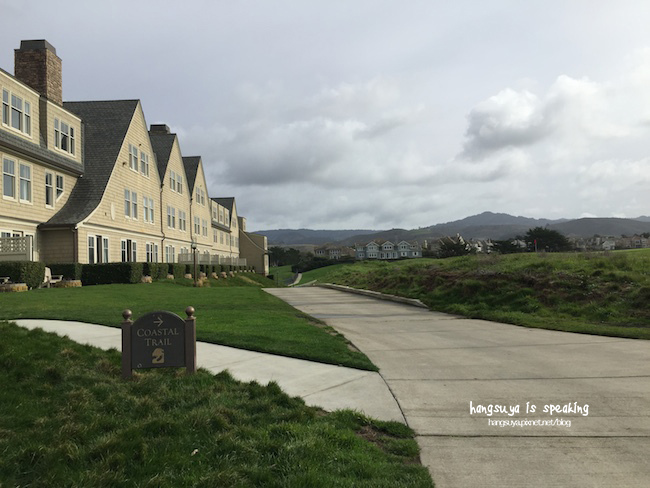 IMG_3651.JPG IMG_3651.JPG