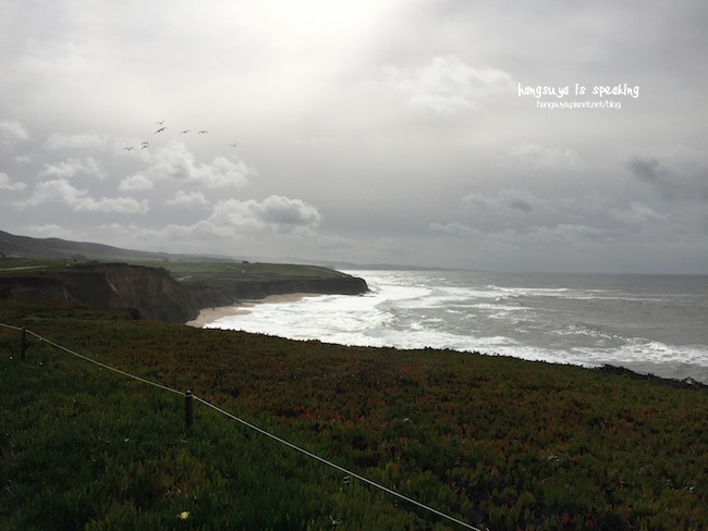 IMG_3657.JPG IMG_3657.JPG