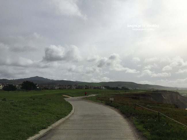 IMG_3658.JPG IMG_3658.JPG