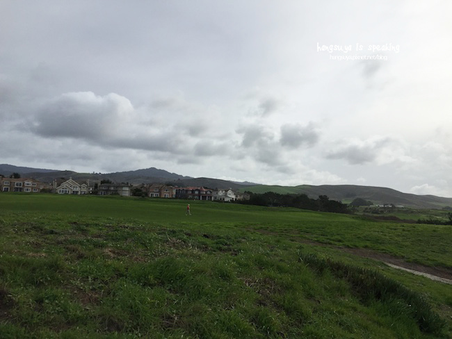 IMG_3661.JPG IMG_3661.JPG