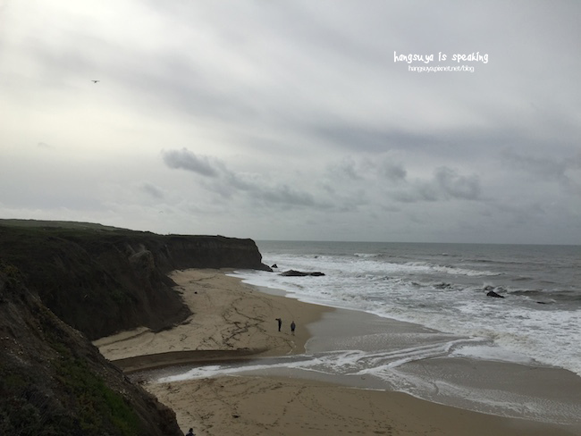 IMG_3667.JPG IMG_3667.JPG